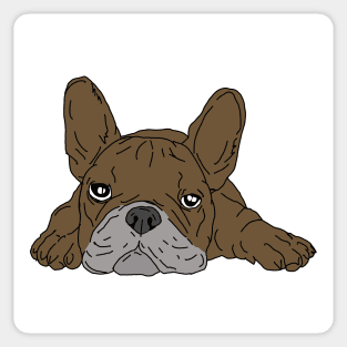 Brown french bulldog Sticker